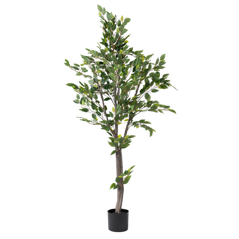 155Cm Real Touch Mini Ficus Tree